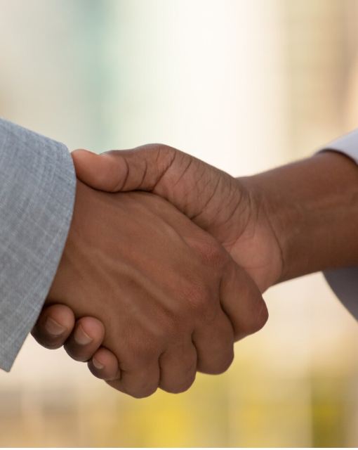 Collaboration and Partnership at Tamasha