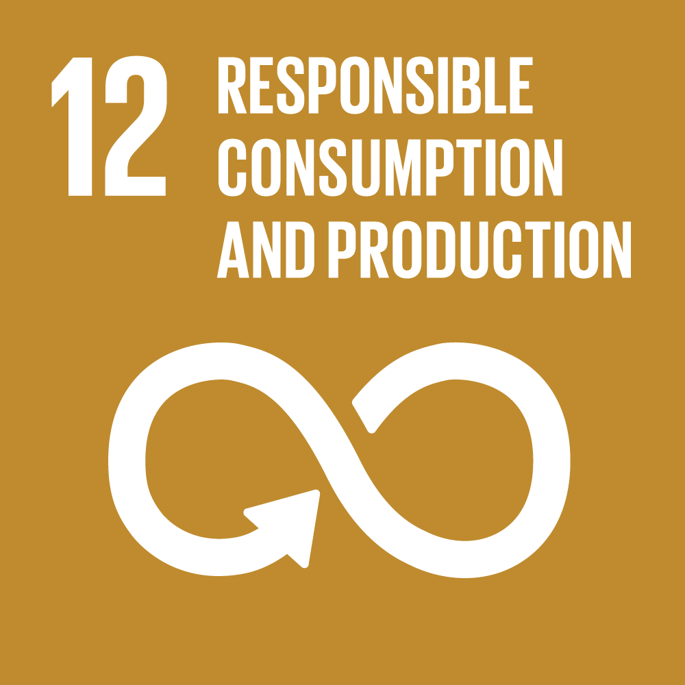 SDG 12 Icon